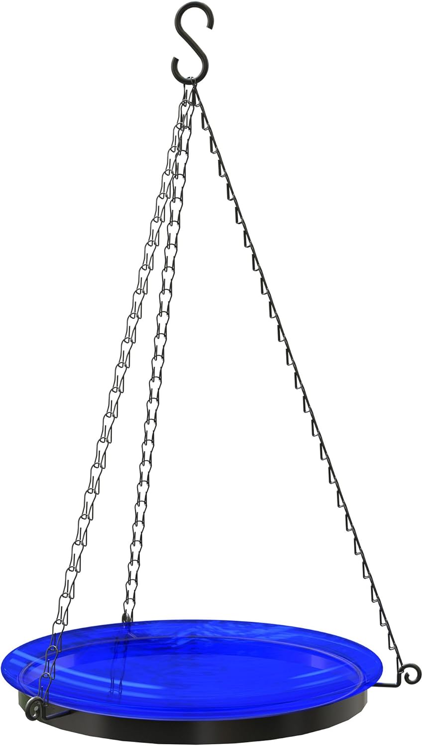 Panacea 086089 Hanging Glass Bath Wild-Bird-Feeders, 10 in. Dia. Asst