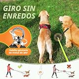 Ver la foto 2