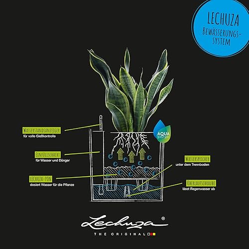 Miniatura 5 de Lechuza Cube Cottage 40 AIO (Wicker Finish) Maceta, marrón arena, 15 x 15 x 16 pulgadas