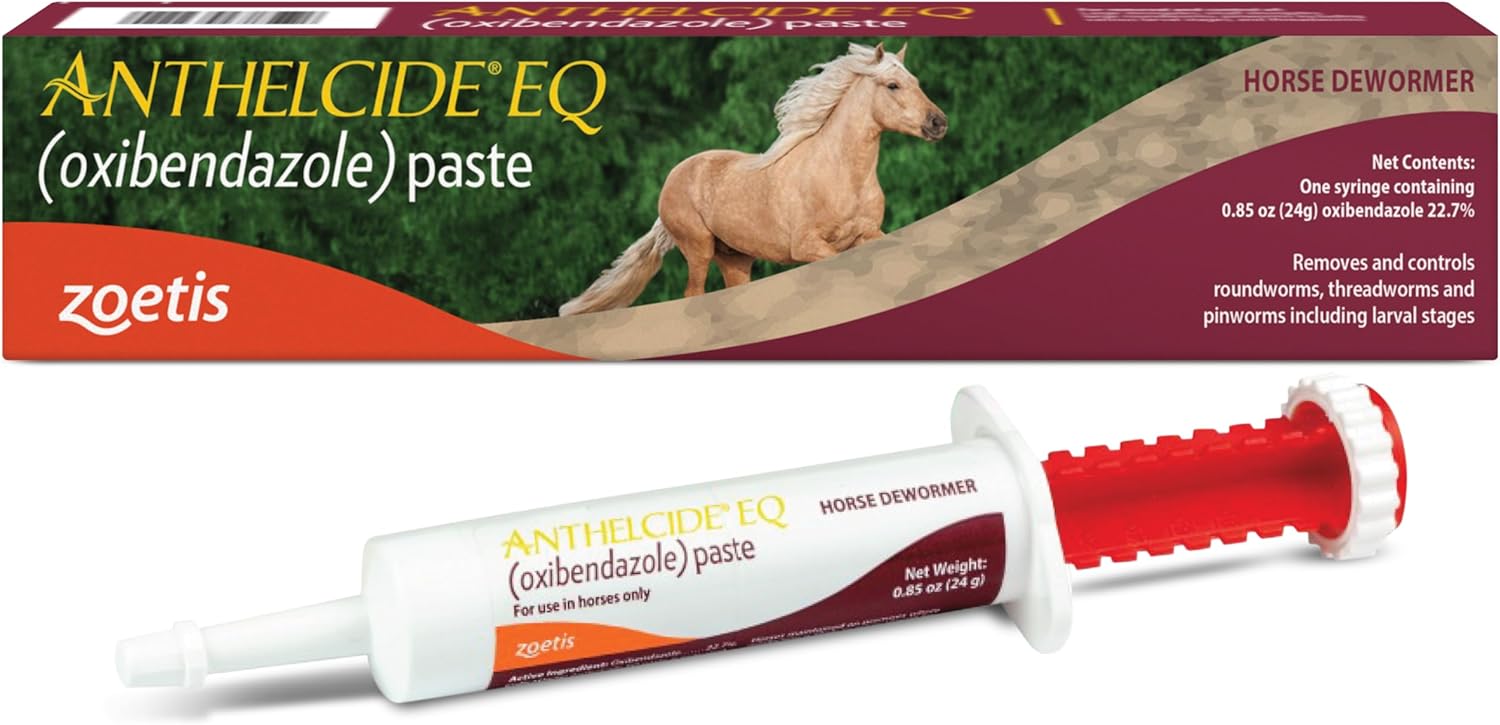 EQ Paste (oxibendazole) Dewormer for Horses, Broad-Spectrum Parasite Treatment, 0.85 oz Syringe