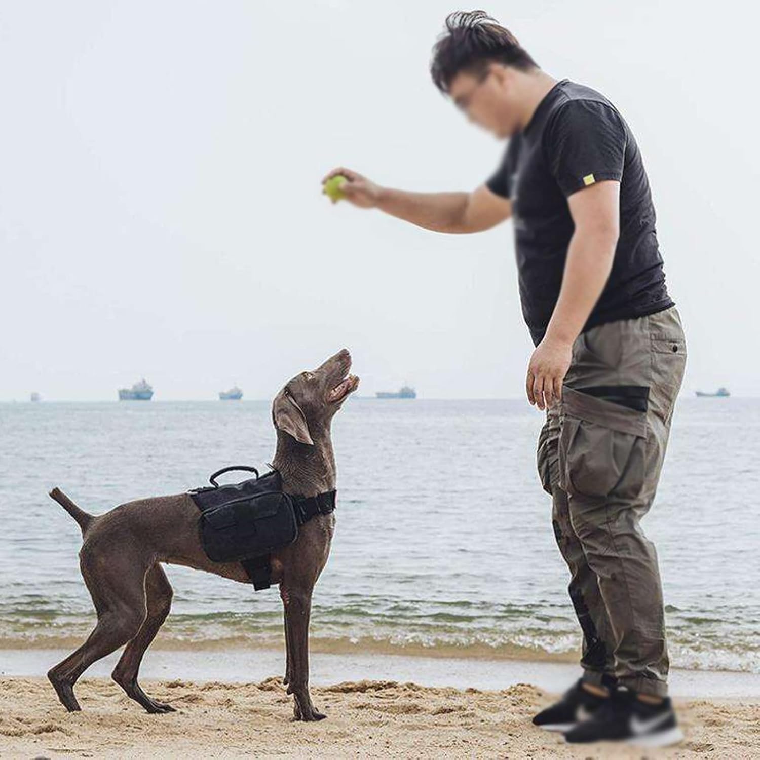 Dog Backpack, Heavy Duty Detachable Hound Camping Hiking Saddle Bag with 2 Side Pockets, Dog Walking Knapsack Vest to Wear for Medium Large Dog