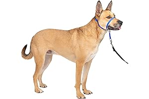 PetSafe Dog Myzzle: The Ultimate Solution for Controlling Dog Pulling