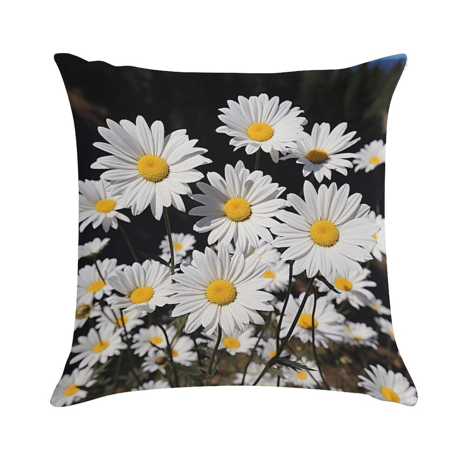 VstaDank White Daisy Throw Pillow Cover Square Lumbar Throw Pillow Case Soft Decorative Cushion Cases Short Plush Pillowcase with Zipper Luxury Cozy Pillows Shams for All Seasons