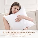 puredown® Inserts de Coussin 12x20 Paquet de 2 Coussins Lumbar Doux et Moelleux pour Canapé Lit et Coussin Décoratif Rectangulaire pour Décor de Maison