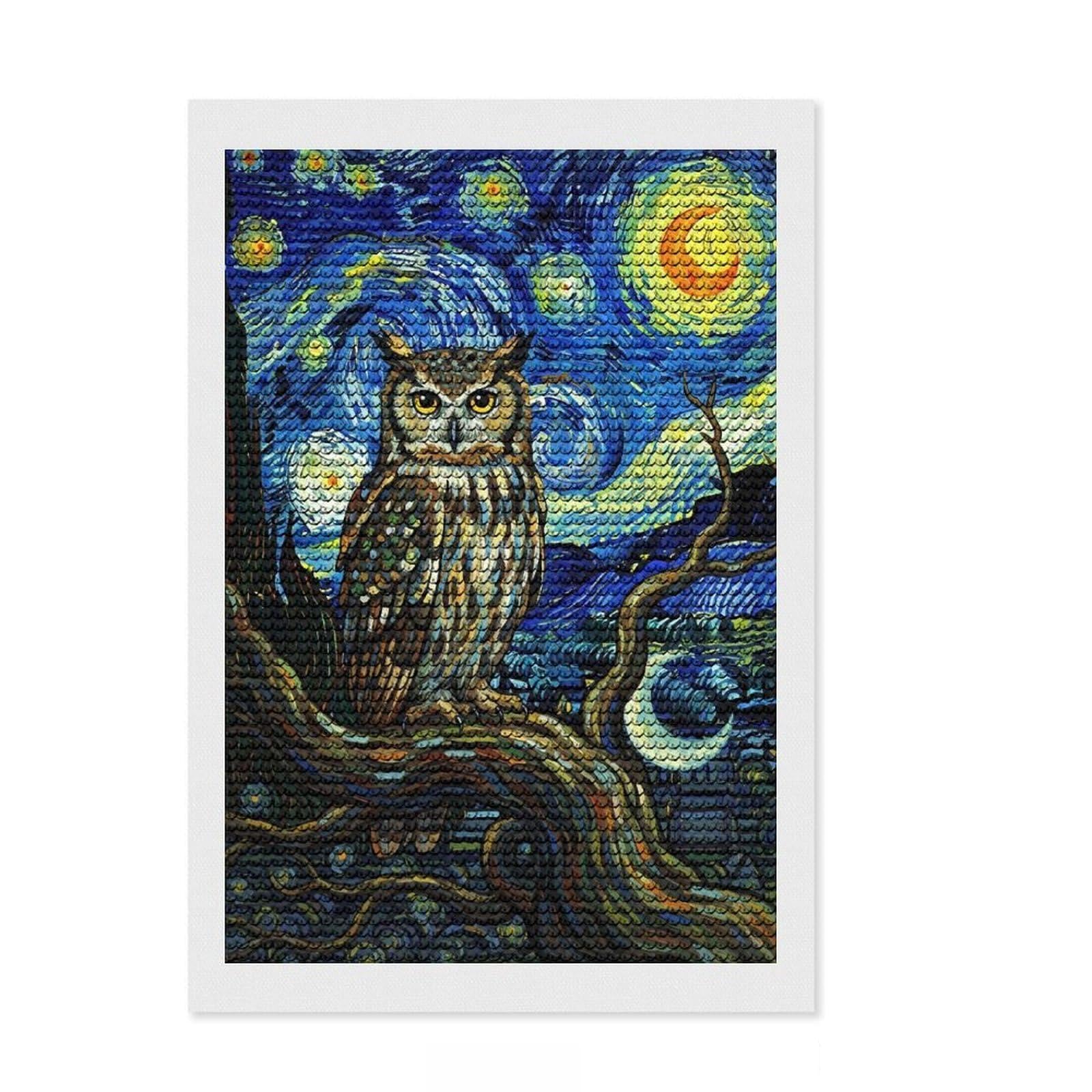 Junmoney Owl in Starry Night Style Painting Diamond Art Canvas 8"x12", Easy to Follow Symbols, Easy Handmade Project, Boho Decor, Holiday Gift Idea