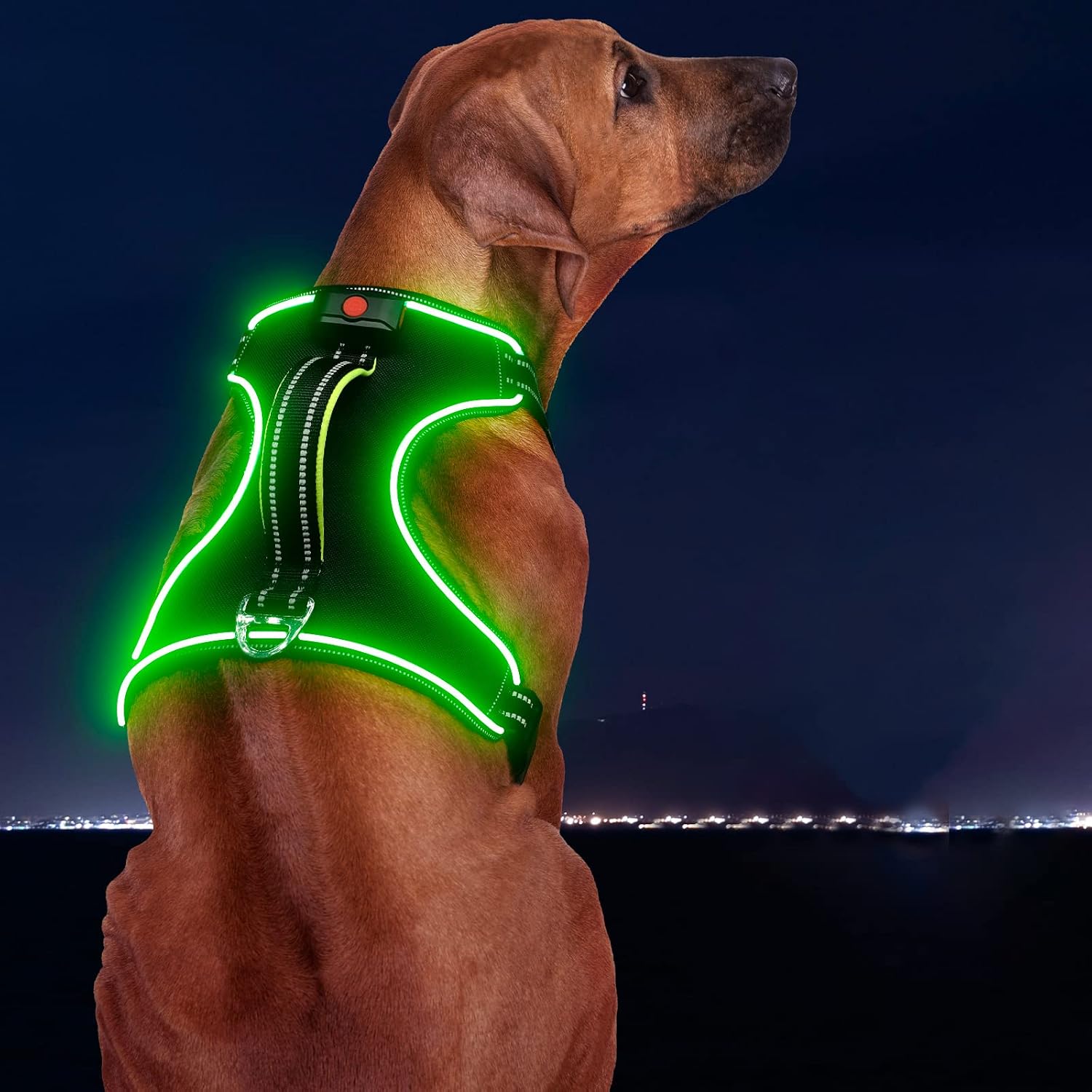 Blinlit LED Light Up Dog Harness, Reflective Led Dog Harness Glow-in-The-Dark for Night Walking, Rechargeable for Small Medium Dogs No…