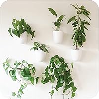 MakeGood PlantPod Luxe Self-Watering Wall Planters (Set of 6) - Easy Install Vertical Garden for Indoor Plants