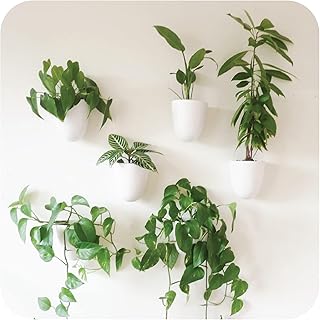 Make Good PlantPod Luxe - Self-Watering Wall Planters (Set of 6) - Easy ...
