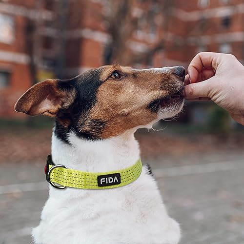 Miniatura 5 de Fida Collar reflectante para perro, collares de nailon para perros con colores neón para perros pequeños, medianos y grandes, de alta visibilidad,