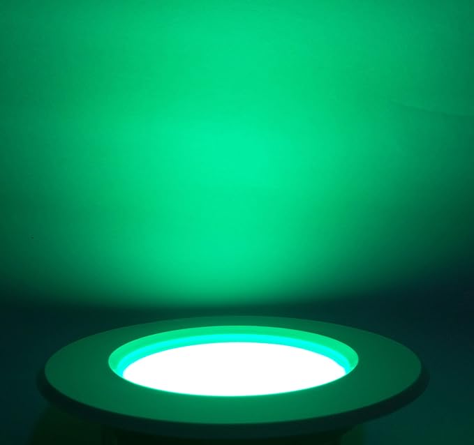6WATT (Green) ECO LED Ceiling Panel Lights (1 Year Warranty)