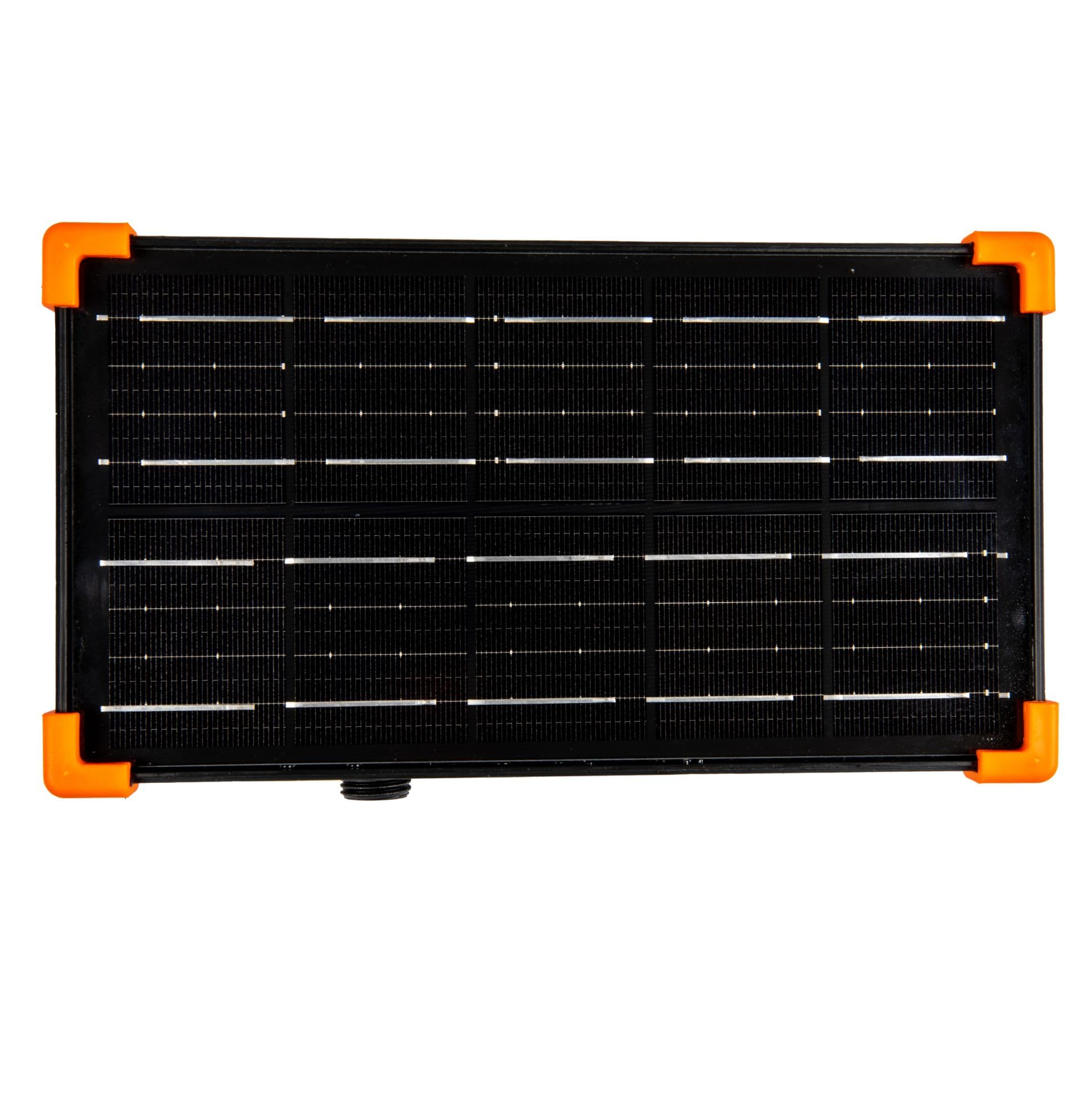 Novelty Lights 100 Light True Twinkle (100% Twinkle) Solar LED Weihnachten Mini Licht Set, Warmweiß, Outdoor Lichterkette, Grüner Draht, 44 Fuß