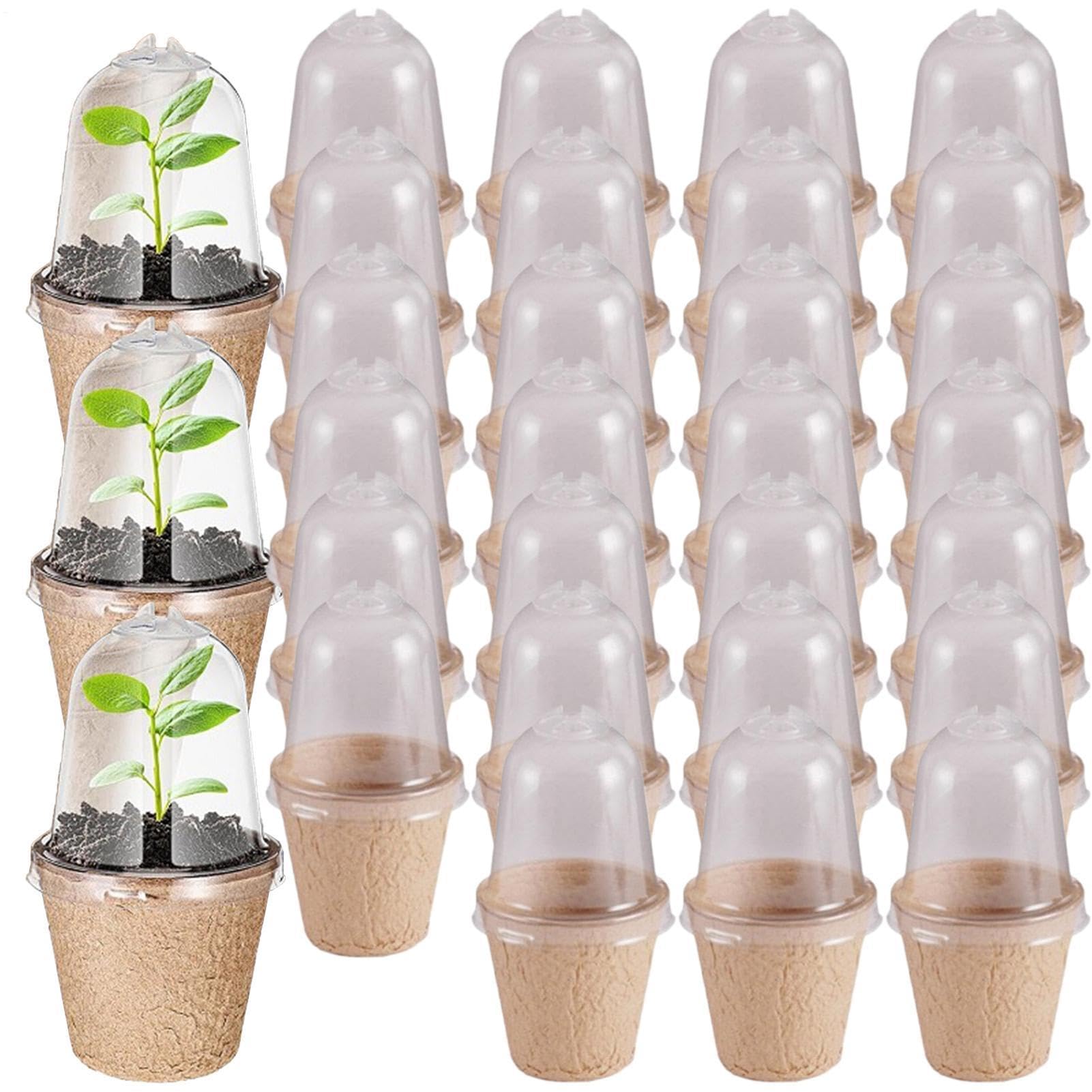 Pots en tourbe légers pour transplantation de fleurs avec drainage optimal x30