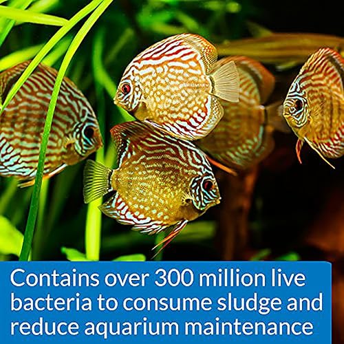 Vista 13 de API Stress Zyme Solución de limpieza para agua dulce y agua salada de acuario