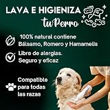 Ver la foto 3