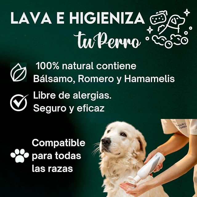 Foto 3 de 7 de DISANE Champu en Seco para Perros