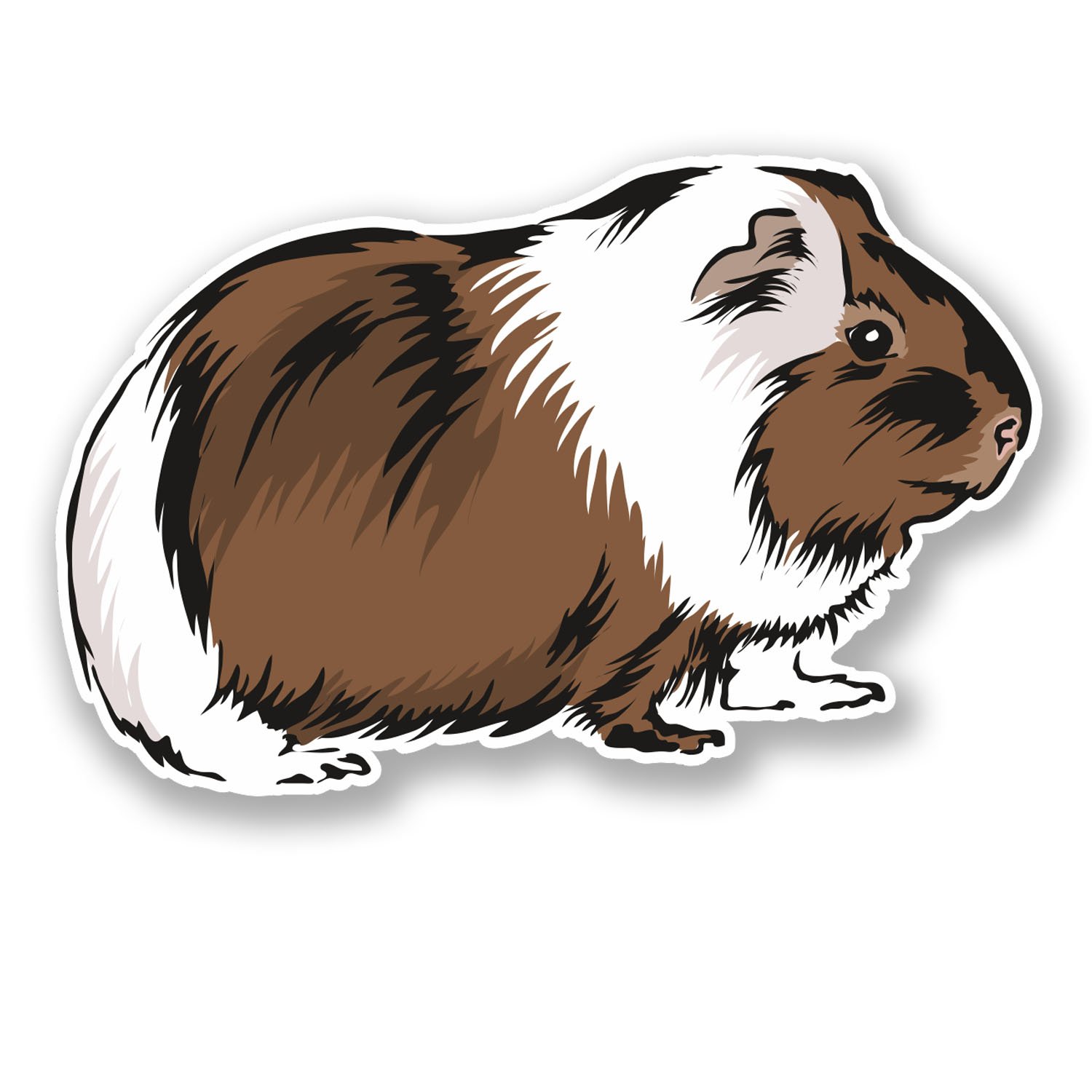 Destinationvinyl Multi 2 X 10Cm Guinea Pig Vinyl Sticker Decal Car Laptop Tablet Helmet Animal #5840 (10Cm Wide X 6.5Cm Tall)