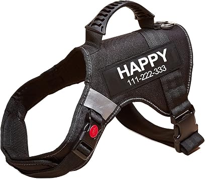 Custom Dog Harness, Personalized Pet Vest with Name Tag, No Pull Reflective Breathable Adjustable for Small Medium and Large Breed/XS-XXL