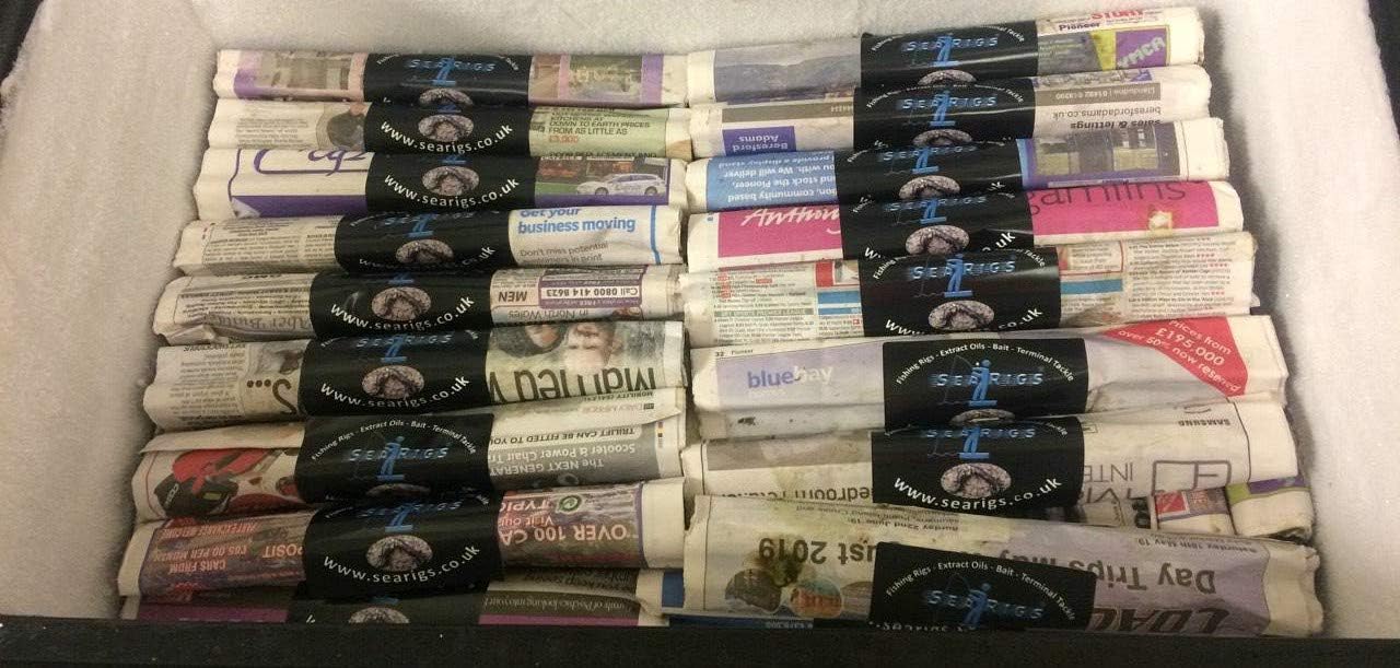 Black Lugworm (Welsh), Frozen Sea Fishing Bait Salted in Newspaper x 50 WORMS Includes FREE Poly Bait Box, Re - Usable Gel Packs, Pulley Rig and Bait oil