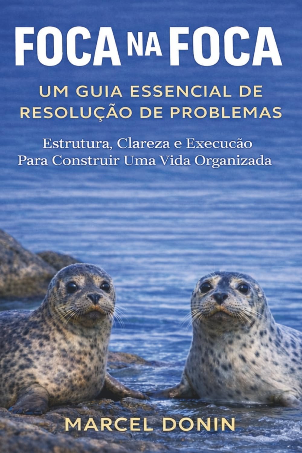 FOCA NA FOCA: Um Guia Essencial de Resolução de Problemas
