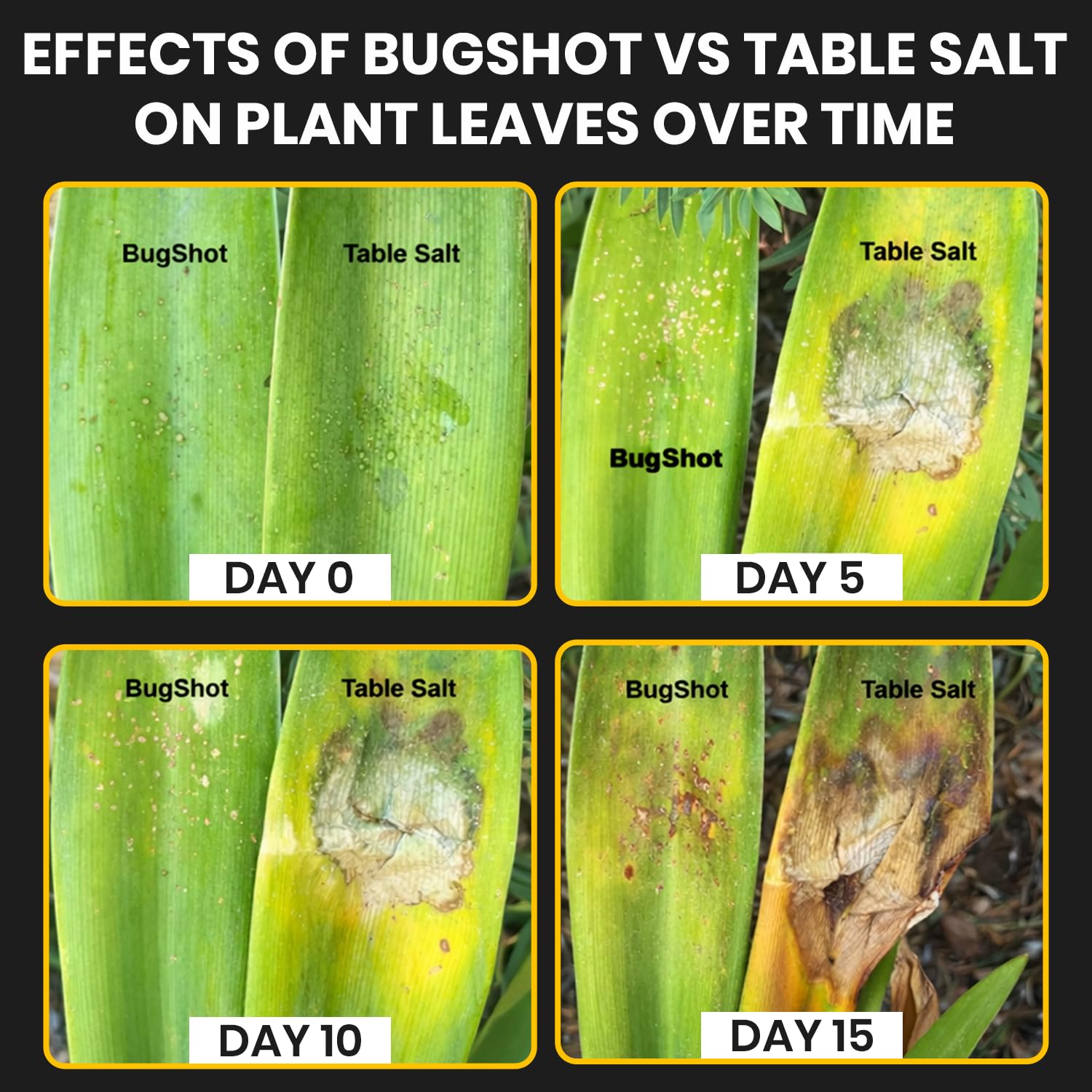 BugShot - Non-Salt Bug Ammo – Made in USA - No Jamming, Instant Refill, No Residue - Compatible with Salt Guns.