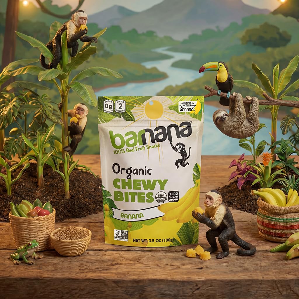 Barnana - Organic Chewy Banana Bites, Original, Chewy Banana Snack, Made With Real Fruit, High In Potassium, Kosher, USDA Organic, Paleo, Gluten-Free, Vegan (3.5 oz, 6-Pack)