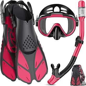 Leading Snorkel Set Adult with Flippers, Anti-Fog Diving Set, Dry Snorkel, Adjustable Flippers, Snorkelling Packages for Men and Women