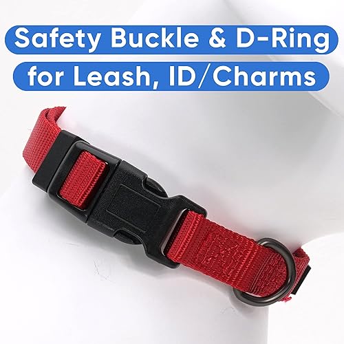 Vista 113 de Pawtitas Collar personalizado para perro, collar de perro pequeño, bordado con nombre, número de teléfono, collar de cachorro, collar ajustable