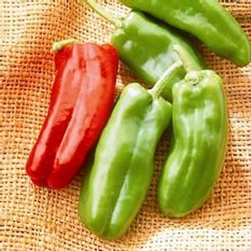 Mountain Valley Seed Co Giant Marconi Hybrid Sweet Pepper Garden Seeds 10