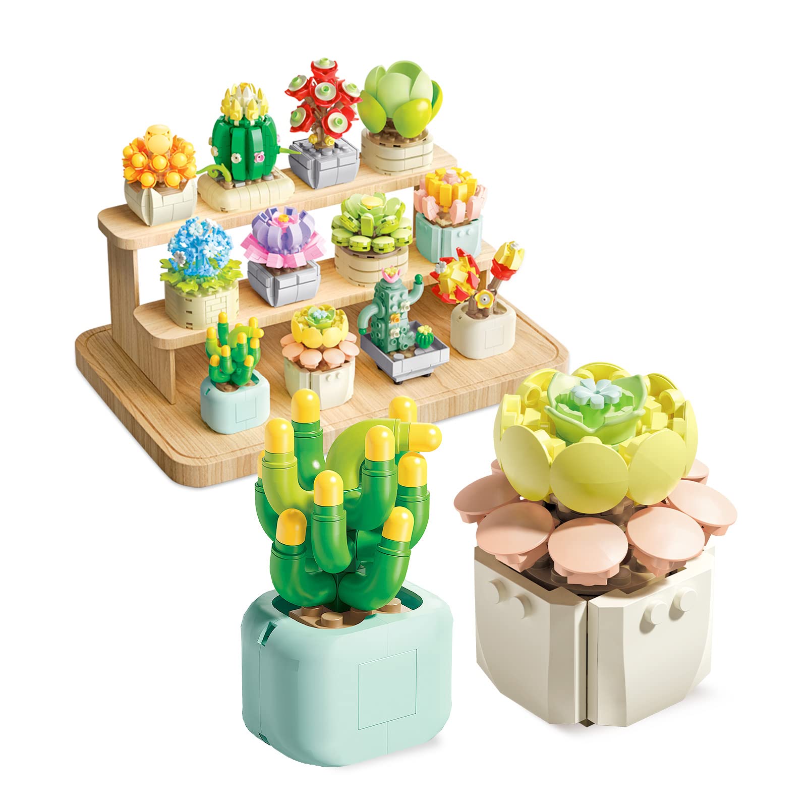 FeeloSTEM Succulents Plants Building Set Mini Bricks Bonsai Model Christmas Brithday Gifts for Kids, Boys Girls Gift(2 Set)