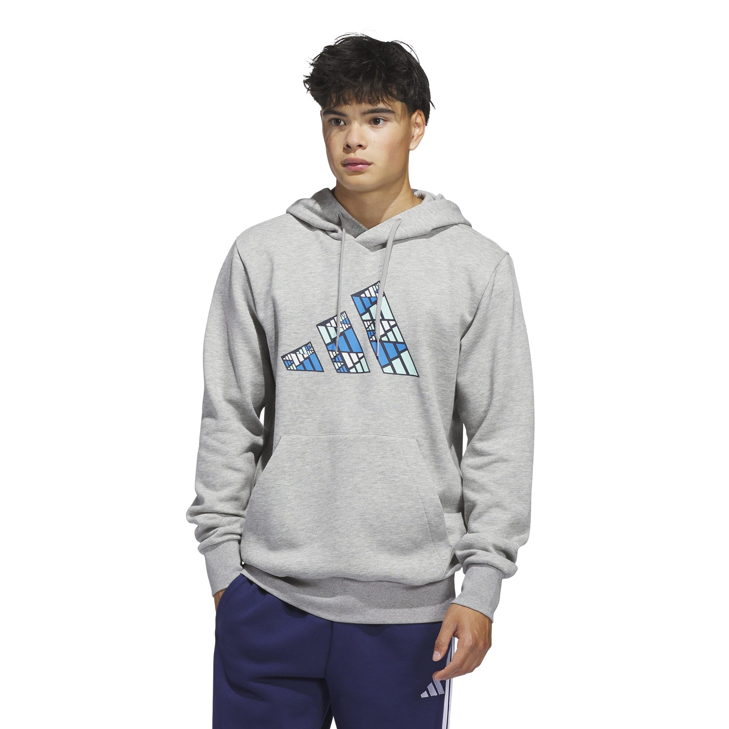 adidas Men's Big Logo Graphic Hoodie