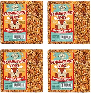 Mr. Bird 4-Pack Flaming Hot Feast Small Wild Bird Seed Cake 4 oz. Squirrel Resistant Bird Seed