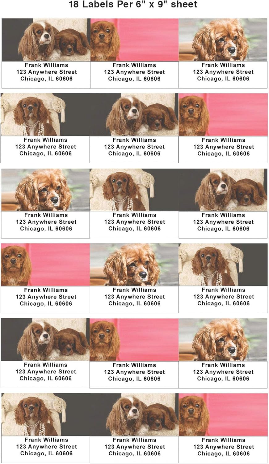 Pretty Cavalier King Charles Spaniels Address Labels