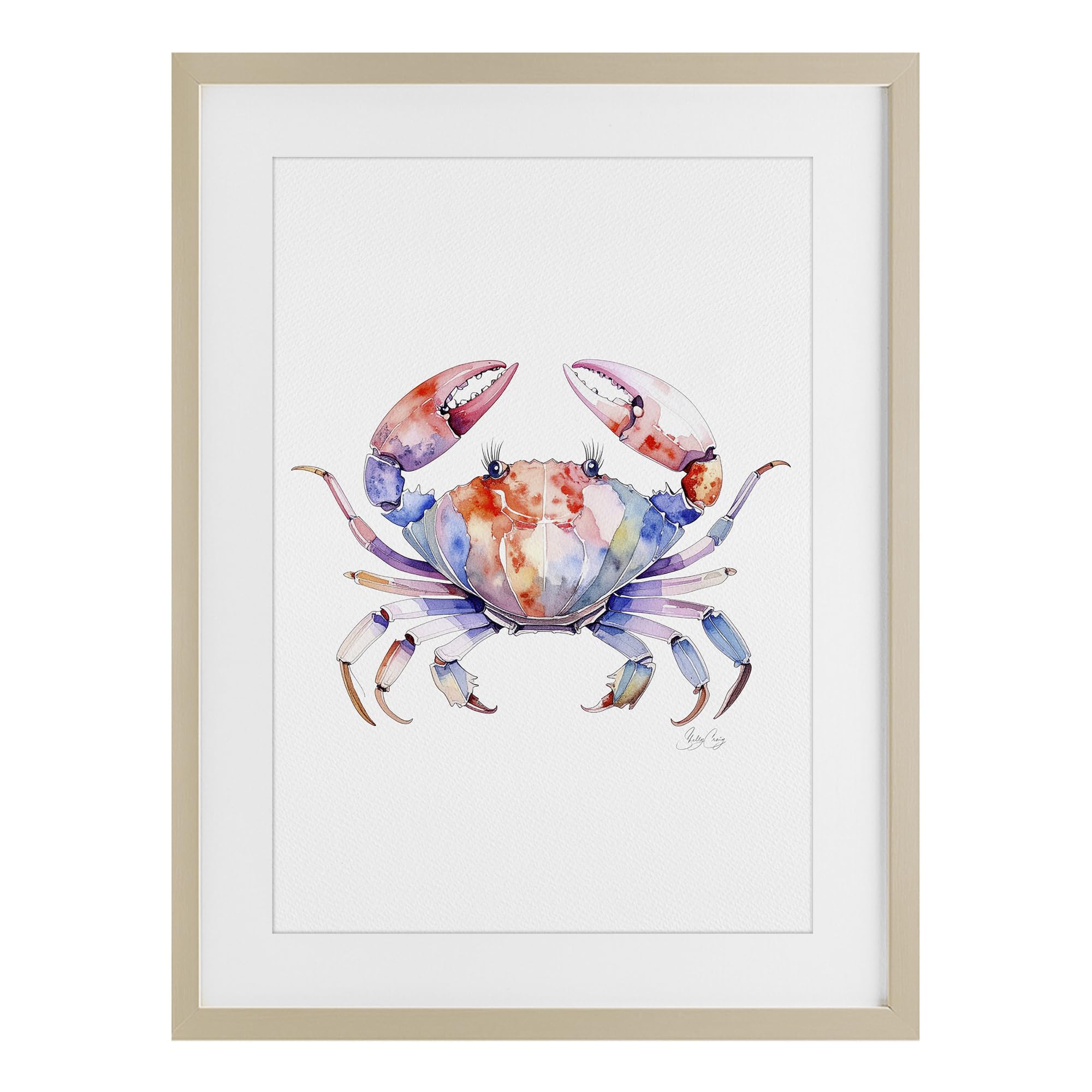 Stupell Industries Watercolor Dancing Crab 'Tide Dancer Crab', Framed Print Under Glass, Brown, 14 X 20 Inches, Easy To Hang And Sturdy, Made In Usa, By Shelly Craig