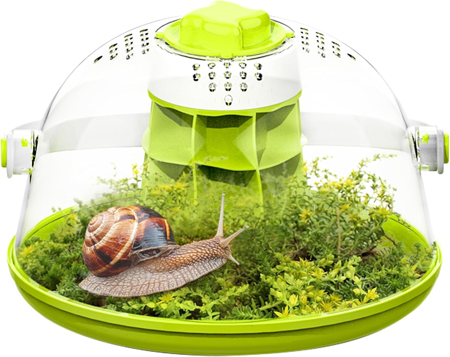 Small Animal Carrier — Round Transparent Snail Terrarium Kit for Kids, Portable Insect Habitat with Air Vents, Removable Base & Handle for Snails, Beetles, Spiders, Ladybugs