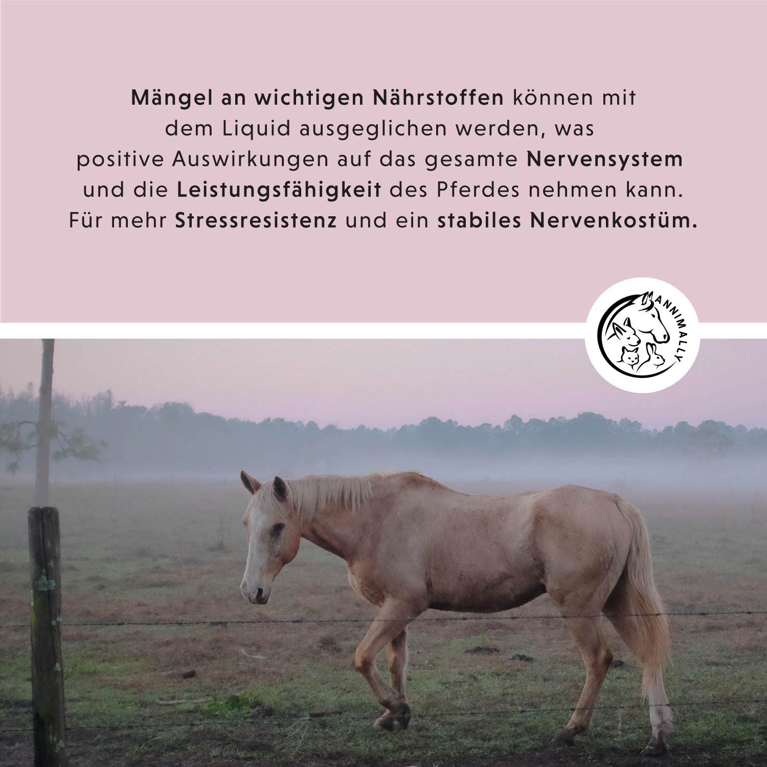 Annimally Relax Liquid für Pferde 1000ml Nervensaft zur Beruhigung beim Pferd mit Baldrian, Hopfen, Tryptophan, B12, Magnesium & Calcium flüssig - Gegen Angst, Stress & für Transport