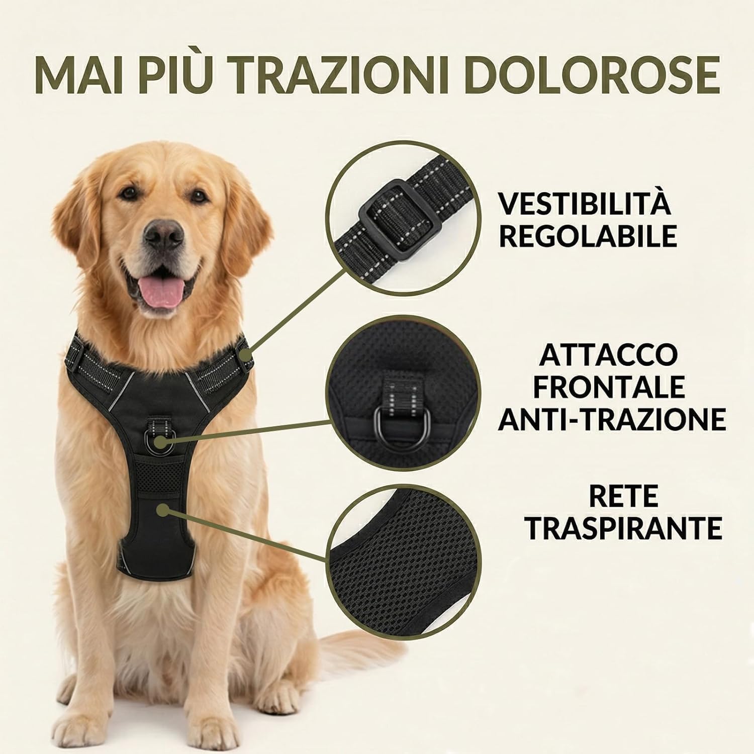 Cosyrae Pettorina anti-tiro