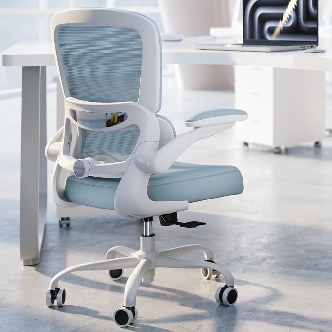 Ergonomic Desk Chair- Blue