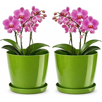 Shiny Flower Pot Plastic Planter Decorative Pot for Large and Small Plants Set of 2 Flower Tubs with Saucer Flower Pot Herb Pot Green Diameter 14 cm
