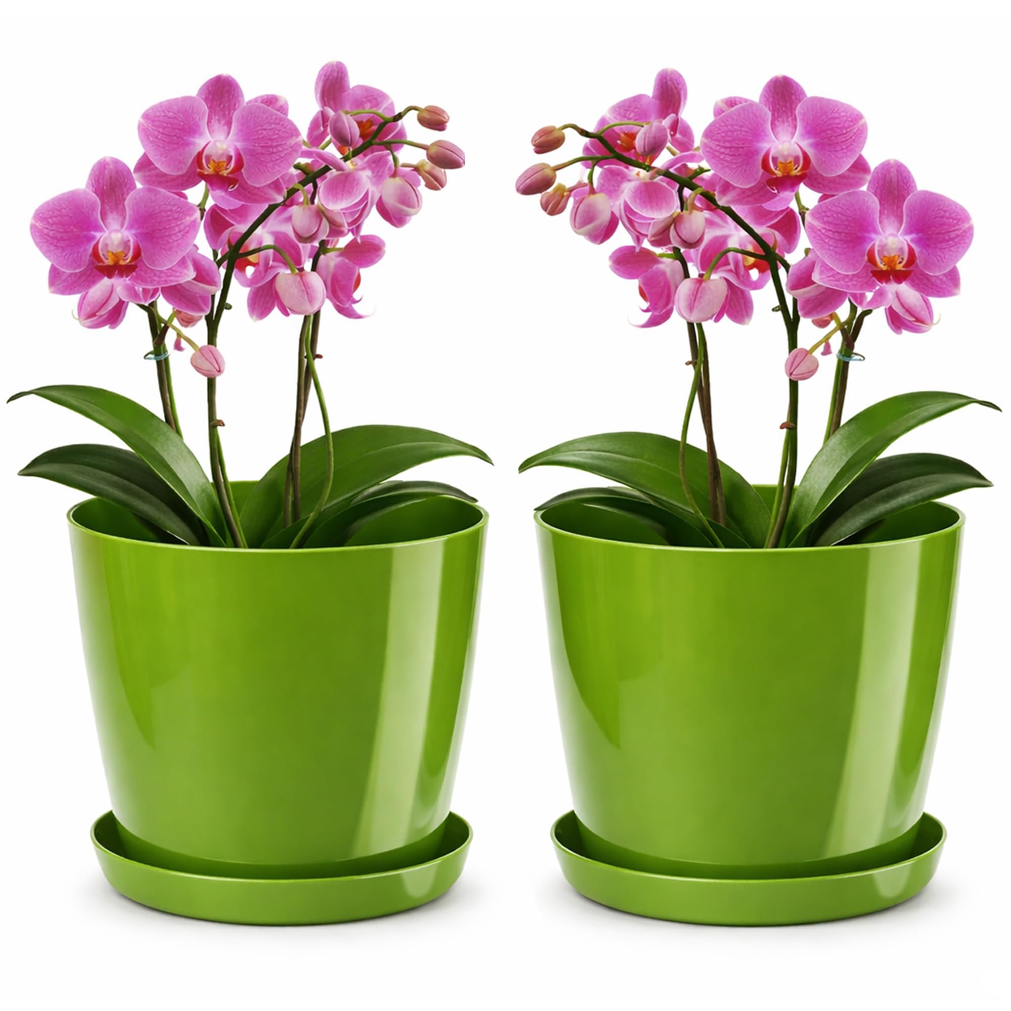 PECZEKO Shiny Flower Pot, Plastic Planter, Decorative Pot for Large and Small Plants, Set of 2 Flower Tubs with Saucer, Flower Pot Herb Pot, Green, Diameter 12 cm โ image 1