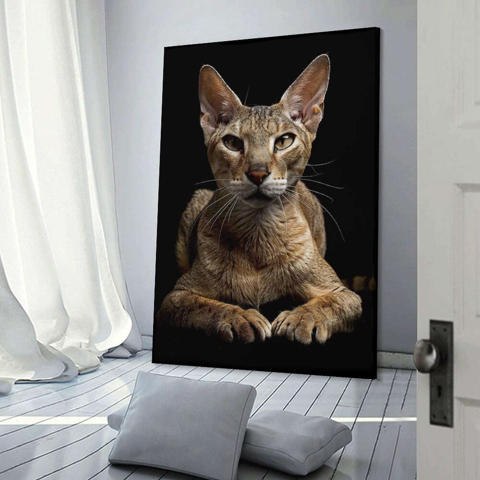 Junmoney Oriental Shorthair Canvas Wall Decor 24x36inch(60x90cm), for Home Lounge, Bedroom Or Reading Nook, A Home Accent with Warm Character
