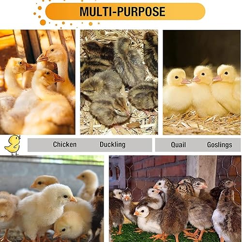 Miniatura 5 de Caja para cría de pollos con juego de lámparas de calor, calentador de agua potable, plato de comida, calienta hasta 25 pollos, caja de cría de aves