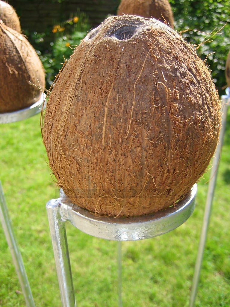 Set of 3 coconut shy posts