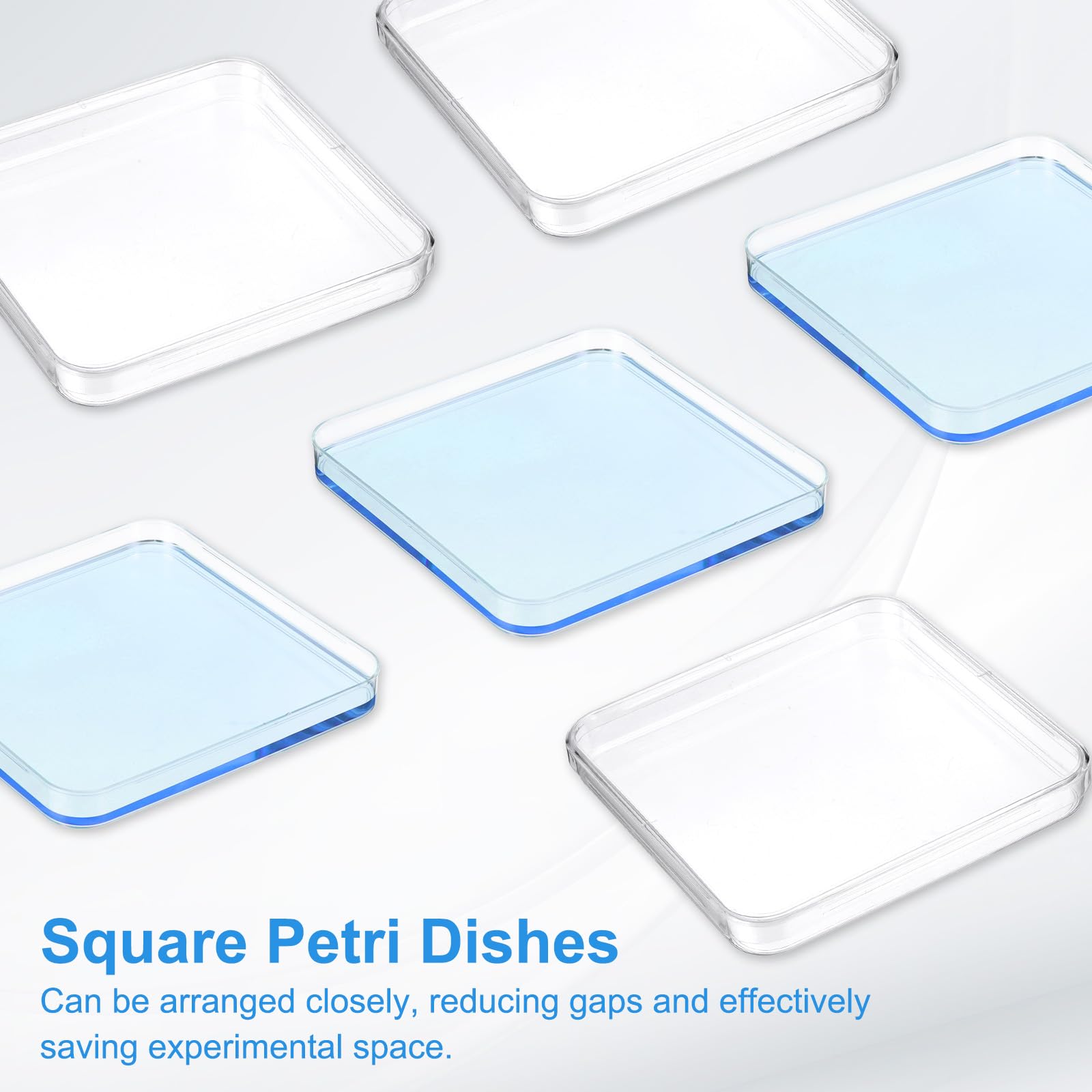 Amazon | PATIKIL 13cm/5.1インチのプラスチックペトリ皿（蓋付き