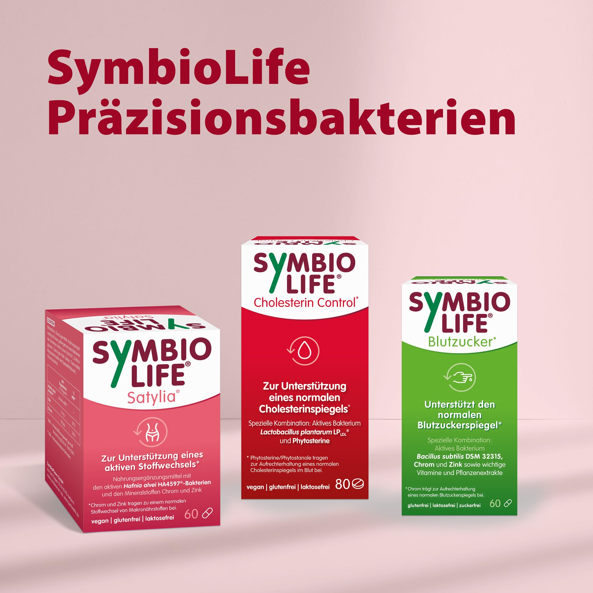 SymbioLife Cholesterin Control*, 80 Tabletten: Nahrungsergänzungsmittel mit Lactobacillus Plantarum und Phytosterinen, Aufrechterhaltung eines normalen Cholesterinspiegels, Vegan