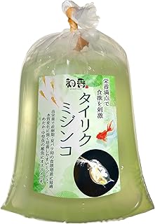 和香 タイリクミジンコ 100匹 活餌 めだか 金魚 ゾウリムシ生クロレラ PSB 夏休み 自由研究 栄養価