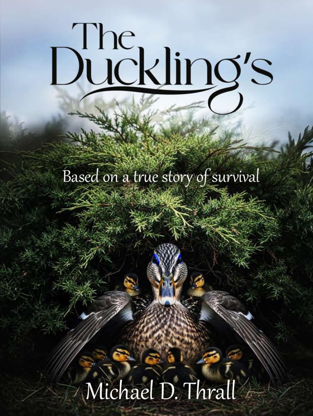 The Duckling's
