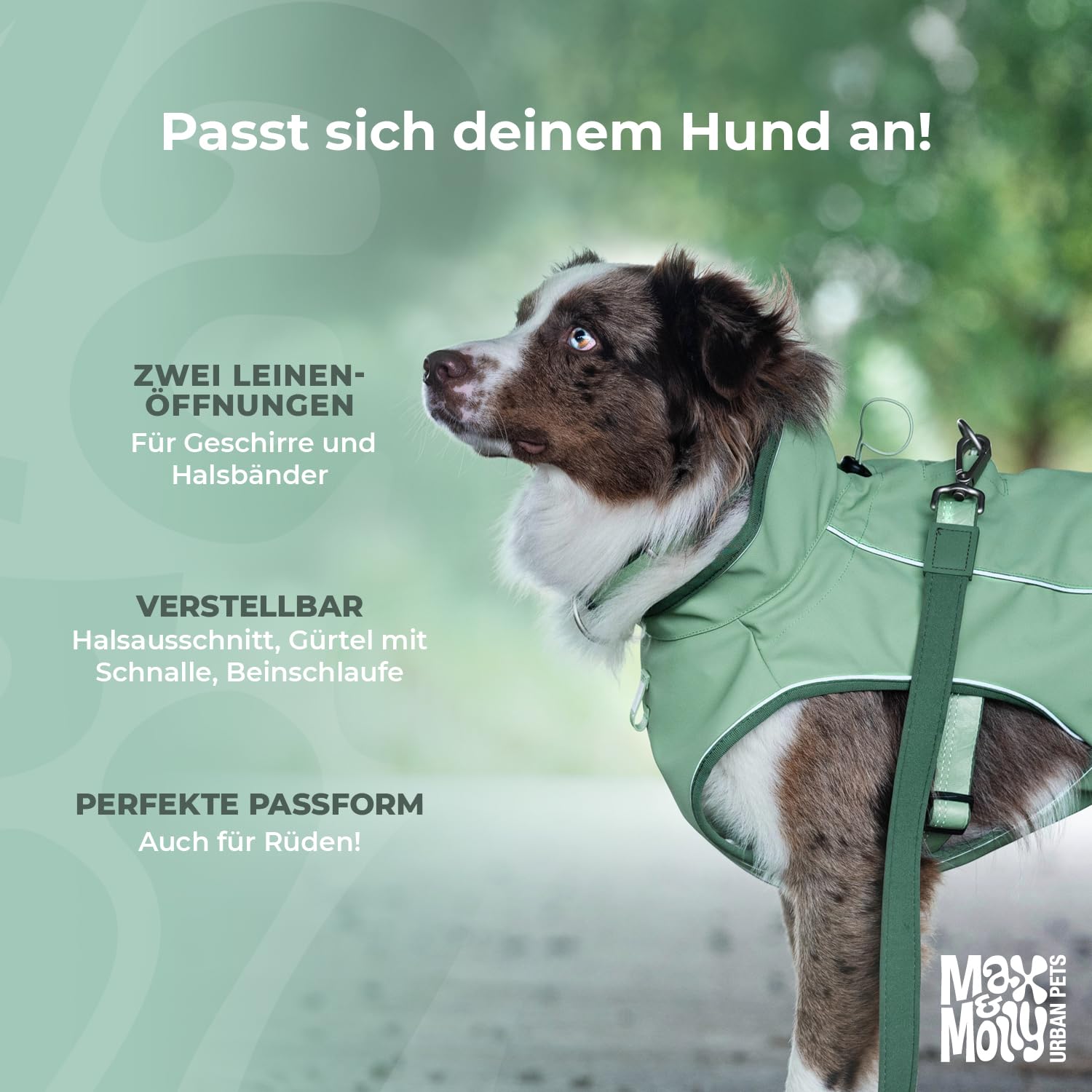 Max & Molly Regenmantel Hund wasserdicht, S, Stone, Sportliche Regenjacke für Hunde mit verstellbarem Bauchgurt, Reflektierend und Sicher, Regenjacke Hund mit Geschirröffnung
