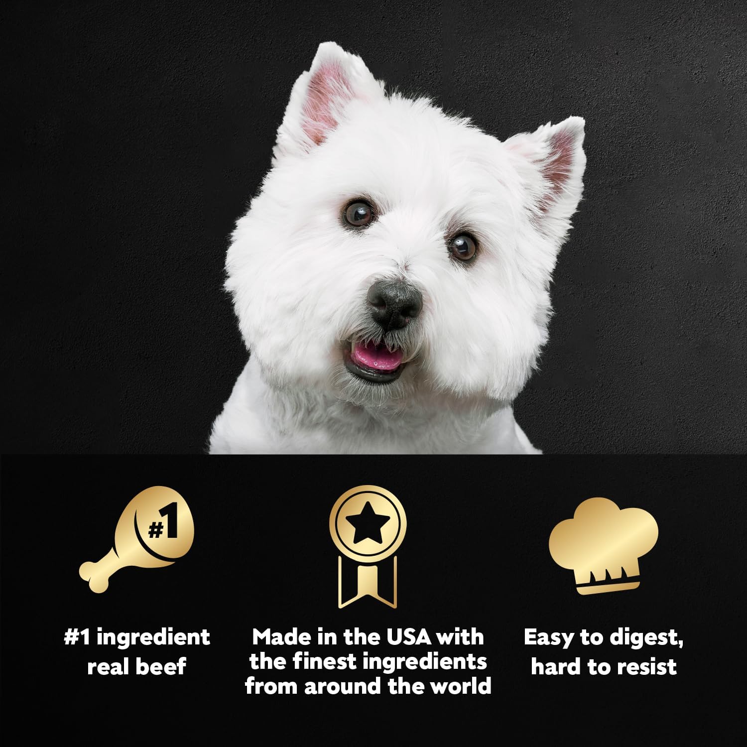 Cesar Loaf & Topper in Sauce Wet Dog Food, Angus Beef Flavor with Bacon & Cheese, Wet Food for Dogs, 3.5 oz Easy Peel Trays, 24 Count