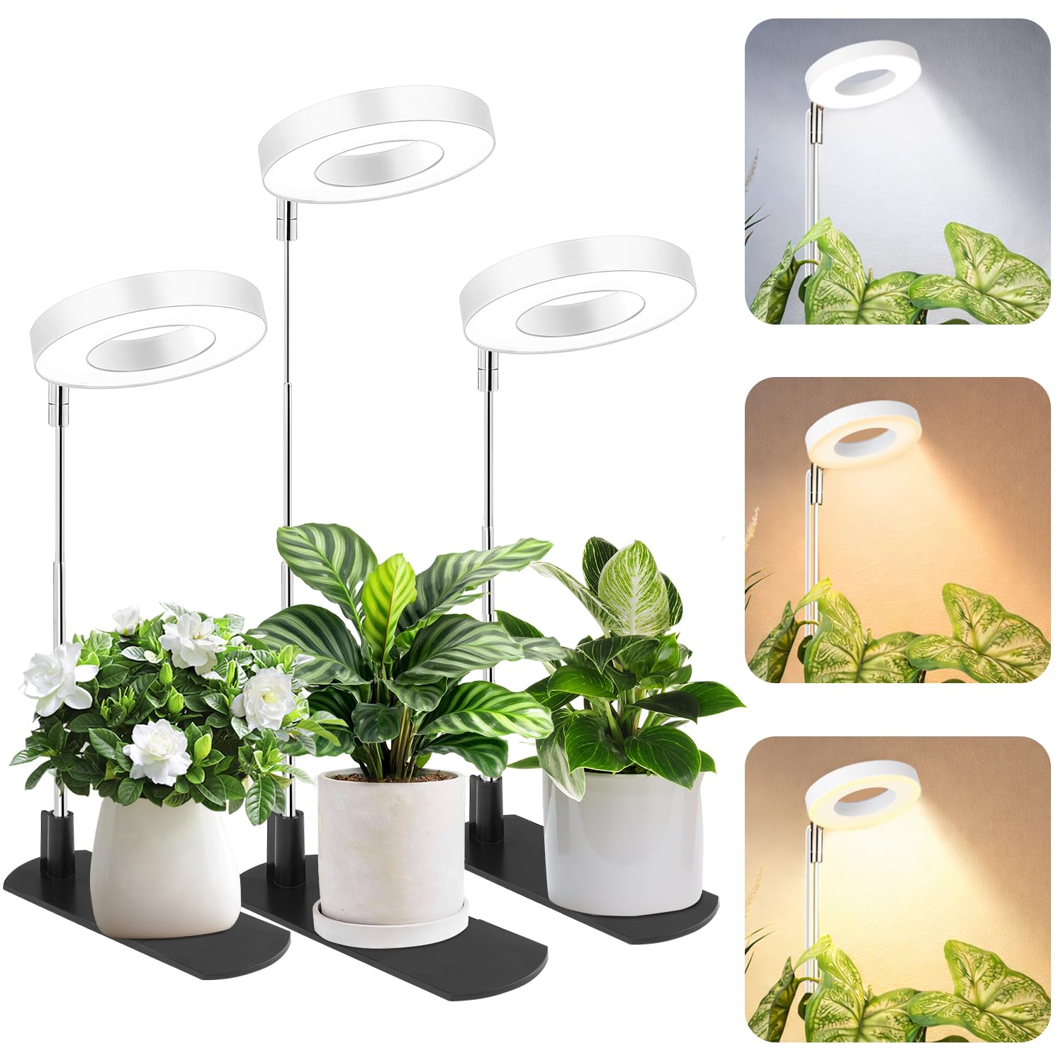 LBW 3-Pack Adjustable Halo