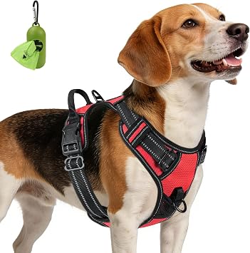 Joytale No Pull Dog Harness Medium Sized Dog, Front Clip, Red | Grab Handle for Instant Control, Padded & Adjustable Vest, Sturdy Metal D-Rings, for Safe Training & Daily Walking